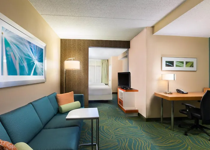 Springhill Suites Austin South